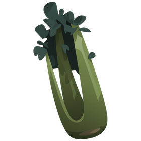Celery vegetable clipart