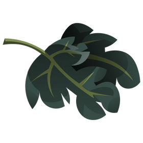 Celery leaves clipart