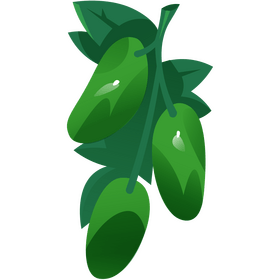 Cucumber plant clipart