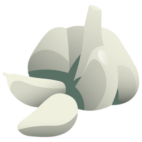 Garlic peeled clipart