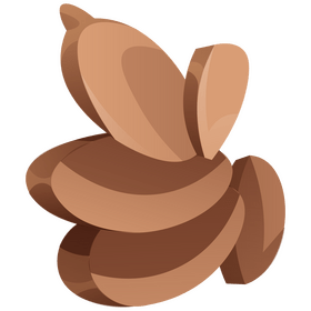 Ginger vegetable slices clipart