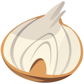 Onion half cartoon clipart