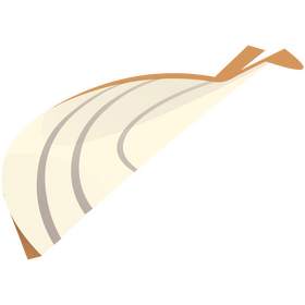 Onion segment clipart