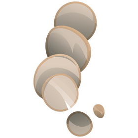 Parsnip vegetable slices clipart