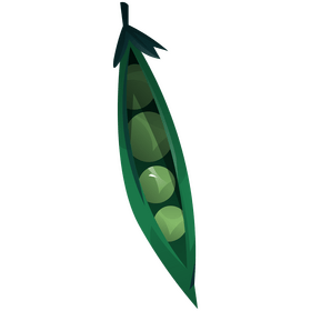 Green peas vegetable clipart