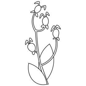 Free rosehip black and white clipart