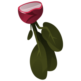Radish half with leaves clipart