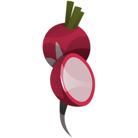 Radish vegetable clipart