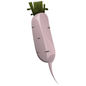 Radish white transparent clipart