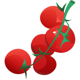 Tomato growing clipart
