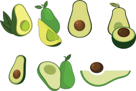 Avocado vector