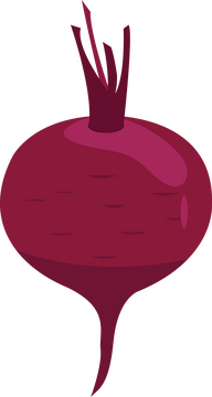 Beet clipart