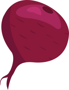 Beet clipart