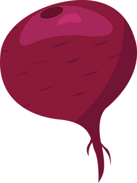 Beet clipart