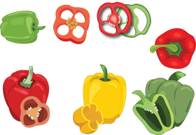 Bell Pepper vector