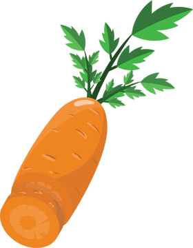 Carrot Cut in Half clipart