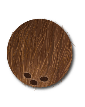 Coconut clipart