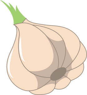Garlic Bulb clipart