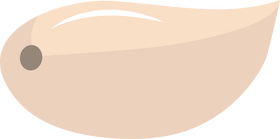 Garlic Clove clipart