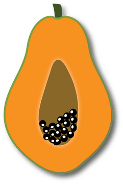 Sliced in Half Papaya clipart