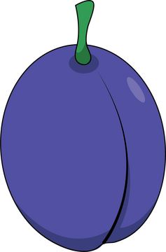Plum clipart