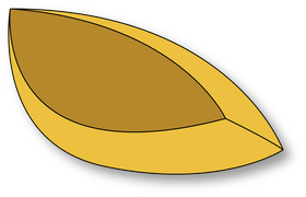 Slice of Plum clipart