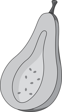 Cut in Half Pumpkin in Grayscale clipart