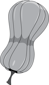 Pumpkin in Grayscale clipart