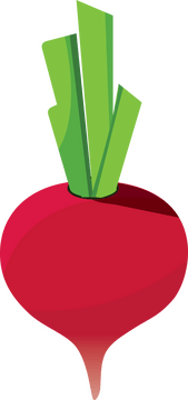 Radish clipart