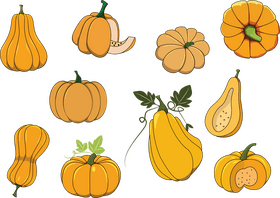 Pumpkin vector
