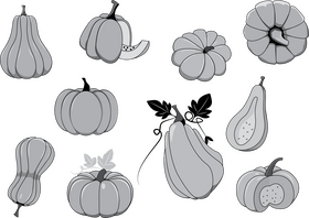 Pumpkin in Grayscale vector