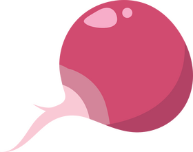 Radish clipart
