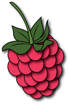 Raspberry clipart