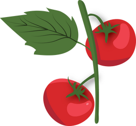 Tomatoes with Leaves clipart