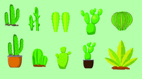 Cactus vector