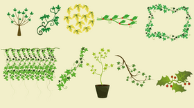 Ivy Plant vector