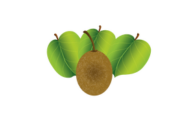 Kiwi with Leaves clipart