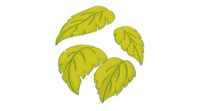 Leaves clipart