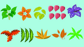 Leaves vector