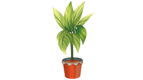 Chinese Evergreen, Aglaonema clipart