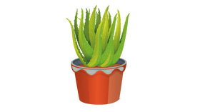 Aloe Vera Plant in a Pot clipart