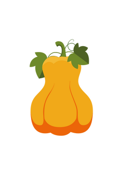 Butternut Pumpkin clipart