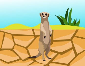 Meerkat vector image