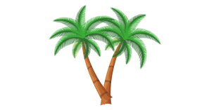 Palm Tree clipart