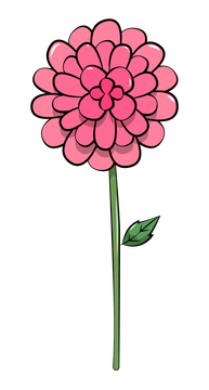Dahlia clipart