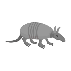 Armadillo clipart