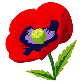 Poppy flower clipart