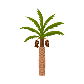 Date palm tree clipart