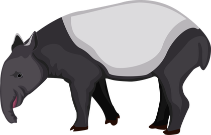 Cartoon tapir clipart