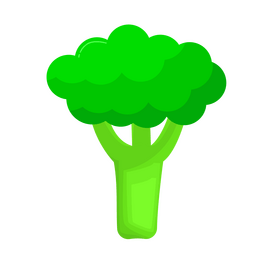 Broccoli vegetable clipart